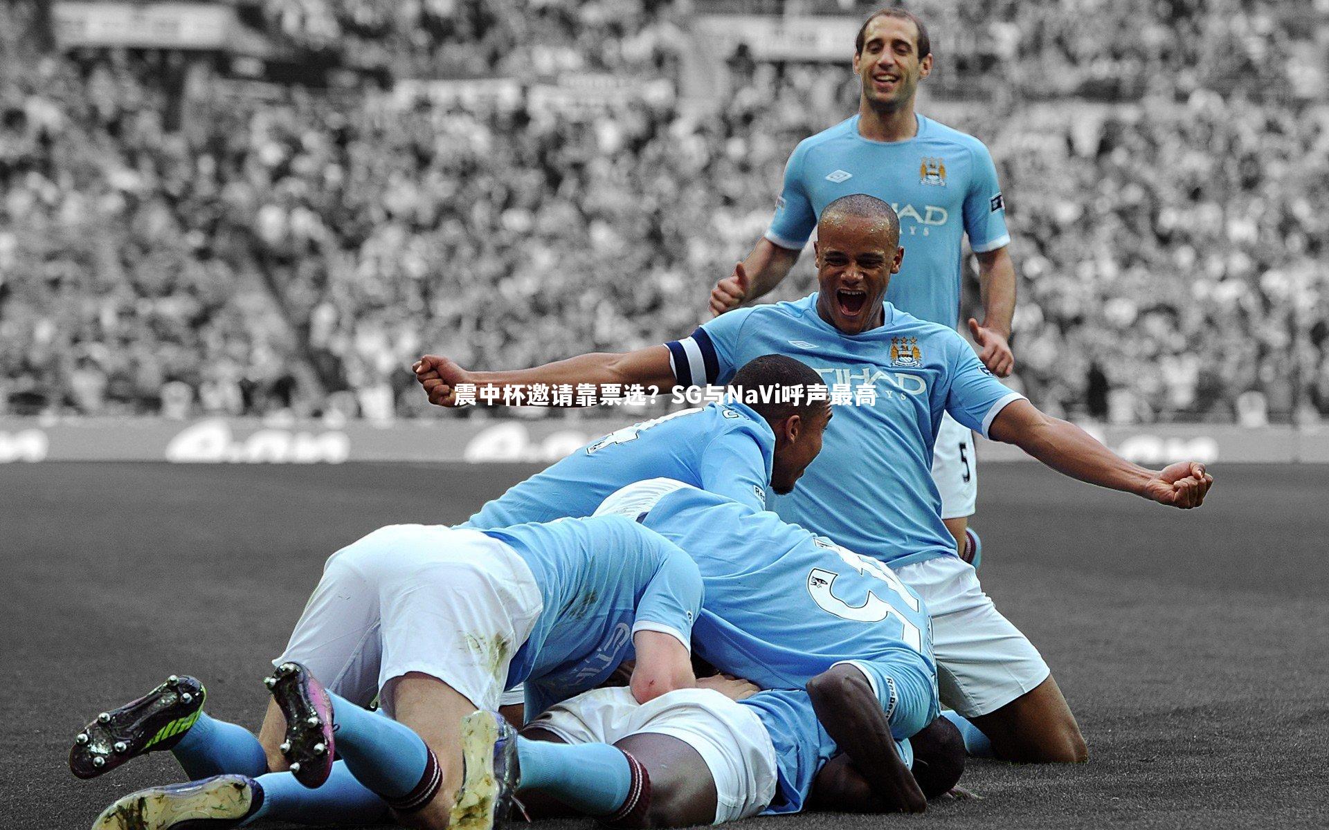 震中杯邀请靠票选？SG与NaVi呼声最高
